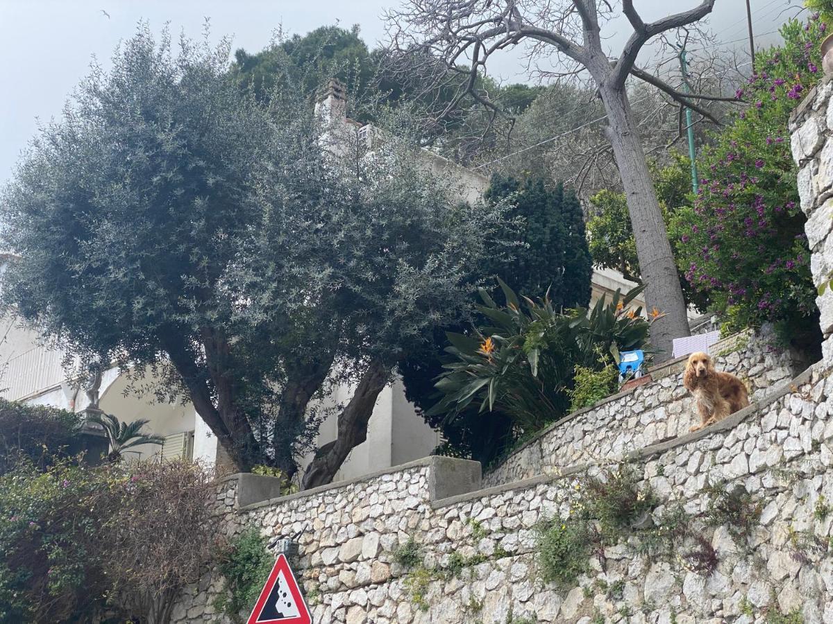 Regina Di Capri - Suite Vista Faraglioni Экстерьер фото